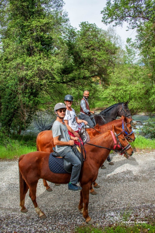 Hisaronu Excursions | Horse Riding | Oludeniz Turkey Holidays