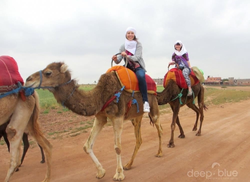 Camel Trekking