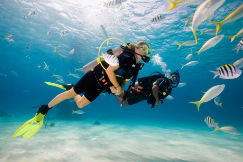 Oludeniz Scuba Diving Tour | Diving in Oludeniz